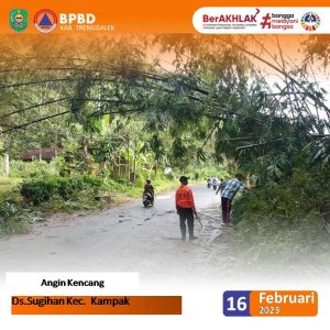 Kamis, 16 Februari 2023. Jenis Kejadian : Angin Kencang. Lokasi : Jln. Raya Kampak-Munjungan Ds. Sugihan Kec. Kampak