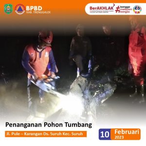 Jum’at, 10 Februari 2023. Pembersihan Pohon Tumbang di Jl. Pule – Karangan Ds. Suruh Kec. Suruh