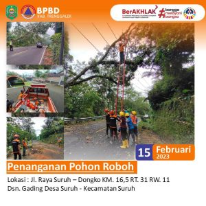 Rabu, 15 Februari 2023. Penanganan Pohon Roboh. Lokasi : Jl. Raya Suruh – Dongko KM. 16,5 RT. 31 RW. 11 Dsn. Gading Desa Suruh – Kecamatan Suruh