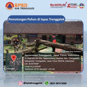 Selasa, 18 April 2023. Pemotongan Pohon Tua yang Berpotensi Membahayakan Area Seputaran Lapas