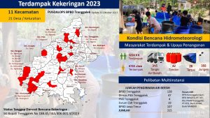 Senin, 16 Oktober 2023. Dampak KEKERINGAN Kab. Trenggalek