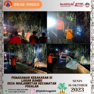 Senin, 16 Oktober 2023. Kebakaran Hutan dan Lahan di Dsn. Krajan RT. 03 RW. 02 Ds. Ngulanwetan Kec. Pogalan