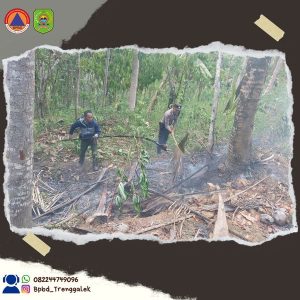 LAPORAN KEJADIAN KEBAKARAN HUTAN MILIK PERUM PERHUTANI DI RT. 22 RW.08 DESA SURUH KEC SURUH KAB. TRENGGALEK.
