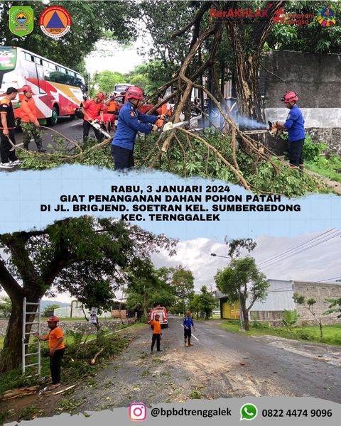 Rabu, 03 Januari 2024. Penanganan Pohon Tumbang Dan Dahan Patah Akibat ...