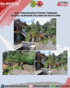 Kamis, 18 Januari 2024. Penanganan dan Pembersihan Pohon Tumbangdi Desa Sawahan Kec. Watulimo