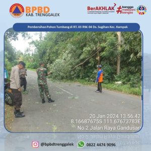 Sabtu, 20 Januari 2024. Pembersihan Pohon Tumbang Akibat Angin Kencang