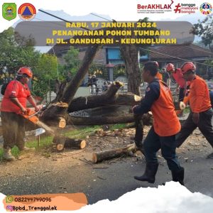 Rabu, 17 Januari 2024. PENANGANAN POHON TUMBANG DI JL. GANDUSARI – KEDUNGLURAH DS. KARANGANYAR KEC. GANDUSARI