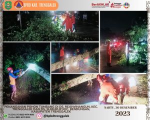 2 pohon tumbang melintang di jalan Sabtu, 30 Desember 2023 Pukul 02.55 WIB