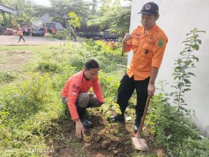 Jumat, 29 Desember 2023. Penanaman Pohon di Halaman BPBD KAb. Trenggalek
