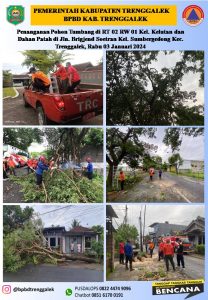 Rabu, 03 Januari 2024. Penanganan pohon tumbang dan dahan patah akibat hujan deras disertai angin kencang di wilayah Kec. Trenggalek