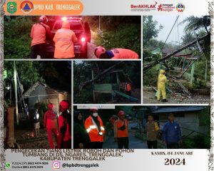 Kamis, 04 Januari 2024. Penanganan Tiang listrik dan pohon tumbang di Ds. Ngares Kec. Trenggalek