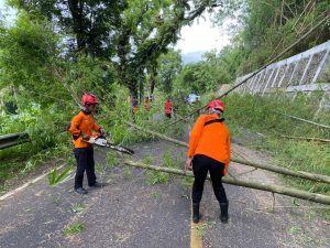 Selasa, 30 Januari 2024 Personil BPBD Kab. Trenggalek melaksanakan giat perampingan pohon bambu yang bertempat di Jln. Nasional Trenggalek – Ponorogo