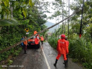 Rabu, 31 Januari 2024. BPBD Kab. Trenggalek Melakukan Penanganan dan Pembersihan Pohon Tumbang di Jl. Mastrip RT.06 RW. 02 Dsn. Suko, Ds. Depok Kec. Bendungan