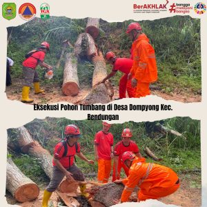 Jumat, 02 Februari 2024. Penanganan Pohon Tumbang di Ds Dompyong Kec Bendungan Kab Trenggalek.