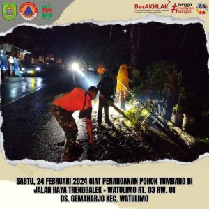 Sabtu, 24 Februari 2024. Penanganan Pohon Tumbang di Jl. Raya Gemaharjo – Durenan RT. 03 RW. 01 Dsn. Karangtuwo Desa Gemaharjo Kec. Watulimo