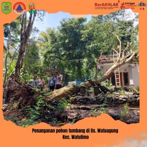 Minggu, 25 Februari 2024. Penanganan Pohon Tumbang di RT. 04 RW. 02 Ds. Watuagung Kec. Watulimo