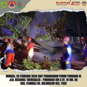 Sabtu, 24 Februari 2024. Penanganan Pohon Tumbang di Jln. Nasional Trenggalek – Ponorogo tepatnya di RT. 19 RW. 05 Dsn. Etankali Ds. Nglongsor Kec. Tugu