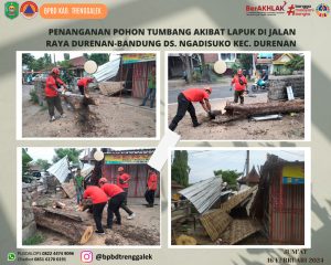 Jumat, 16 Februari 2024. BPBD Melakukan Penanganan dan Pembersihan Pohon Tumbang di Desa Ngadisuko Kecamatan Durenan
