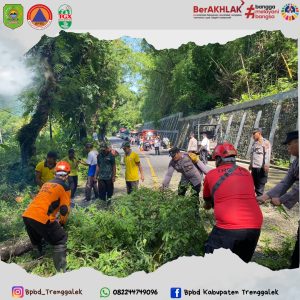 Rabu, 6 Maret 2024 BPBD Trenggalek bersama OPD terkait melaksanakan perampingan pohon di Jl. Raya Trenggalek – Ponorogo Ds. Pucanganak dan Ds. Nglongsor Kec. Tugu