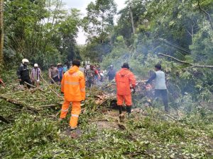 Rabu, 28 Februari 2024. Penanganan pohon tumbang di Jln. Raya Gandusari – Kampak RT. 03 RW. 04 Dsn. Wates Ds. Sugihan Kec. Kampak