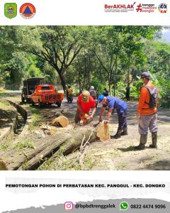 Sabtu, 6 April 2024 BPBD Kab. Trenggalek bersama TNI, POLRI, PERHUTANI, dan Damkar melaksanakan Mitigasi Pohon Rawan Tumbang