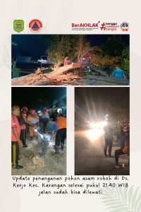 Selasa 18 Juni 2024. BPBD Trenggalek penanganan pohon asam roboh di Desa Kerjo Kec. Karangan
