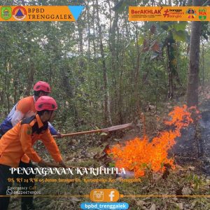BPBD Trenggalek melaksanakan penanganan Kebakaran Hutan dan lahan di wilayah Gunung Orak Arik petak 114 A Rph RT. 24 RW. 05 Ds . Karangsuko Dsn Jarakan Kec Trenggalek