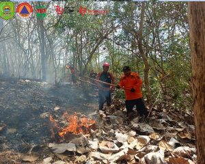 Sabtu, 31 Agustus 2024 BPBD Trenggalek melaksanakan penanganan Kebakaran Hutan dan lahan di RT. 23 RW. 03 Dsn. Krajan Ds. Jatiprahu Kec. Trenggalek