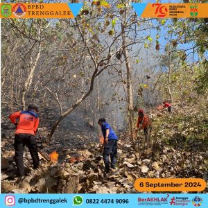 Jum’at 06 September 2024 BPBD Trenggalek melaksanakan penanganan Kebakaran Hutan dan lahan