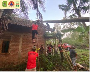 Sabtu tgl 02 November 2024. BPBD Kabupaten Trenggalek Melakukan Penanganan Pohon Tumbang di Ds. Suruh Kec. Suruh dan Ds. Karangan Kec. Karangan