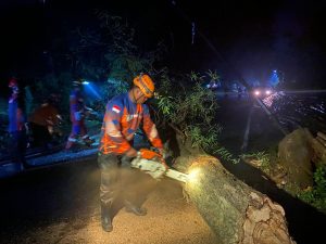 Sabtu, 02 November 2024 BPBD Kab. Trenggalek Bersama Personil Gabungan Melaksanakan Giat Penanganan Pohon Tumbang di Jln. Nasional Trenggalek – Panggul RT 27 RW 08 Ds. Jati Kec. Karangan