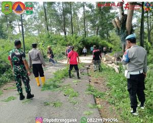 Jumat, 13 Desember 2024. BPBD Trenggalek bersama instansi terkait menggelar kegiatan perampingan pohon di sepanjang Jalan Bendoagung – Timahan, Kecamatan Kampak