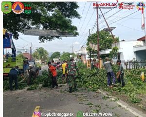 Jumat, 13 Desember 2025. BPBD Kabupaten Trenggalek bersama dengan TRC dan Relawan Melakukan perampingan pohon di Jalan Nasional Trenggalek – Panggul Desa Kedungsigit Kecamatan Karangan