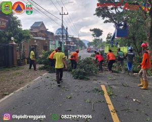 Kamis, 12 Desember 2024. BPBD Trenggalek Melakukan Mitigasi Bencana Pohon Tumbang di Jalan Raya JARAKAN – KARANGAN