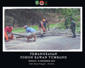 Minggu, 15 Desember 2024 Badan Penanggulangan Bencana Daerah (BPBD) Trenggalek, bersama dengan berbagai pihak terkait melaksanakan kegiatan perampingan pohon