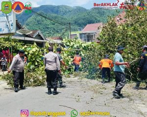 Senin, 23 Desember 2024. BPBD Trenggalek bersama instansi terkait menggelar kegiatan perampingan pohon di sepanjang Jl Raya Kampak-Munjungan wilayah Desa Bendoagung, Kecamatan Kampak