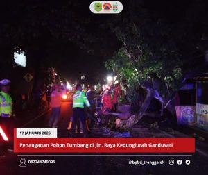 Jum’at, 17 Januari 2025. BPBD KAB. TRENGGALEK MELAKUKAN PENANGANAN POHON TUMBANG DI JALAN KEDUNGLURAH – GANDUSARI RT. 24 RW. 08 DESA KEDUNGLURAH KEC. POGALAN