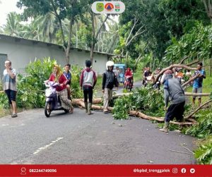 Sabtu, 18 Januari 2025. KEJADIAN ANGIN KENCANG