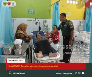 Kamis, 6 Februari 2025. Diwilayah kecamatan Gandusari Desa Wonoanti dan sekitarnya terjadi angin kencang sehingga dahan pohon johar patah di Jalan raya Ngetal Gandusari Desa Wonoanti kec. Gandusari