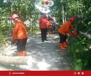 Hari Kamis sekitar Pukul 07.00 WIB diwilayah kecamatan Trenggalek mengalami peningkatan kecepatan angin sehingga mengakibatkan pohon waru tumbang menutup jalan desa RT. 20 RW. 05 Ds. Karangsoko Kec. Trenggalek
