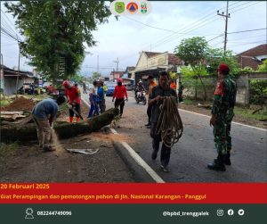 Kamis, 20 Februari 2025, BPBD Kabupaten Trenggalek bersama TNI, Polri, PKPLH, Kecamatan Karangan, BPJN, perangkat desa Karangan, dan masyarakat melaksanakan kegiatan perampingan pohon rawan tumbang di sepanjang Jl. Nasional Karangan – Panggul.