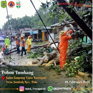 Rabu, 26 Februari 2025. TERJADI POHON TUMBANG DI JALAN SIMPANG LIMA KASREPAN DESA JOMBOK KEC. PULE
