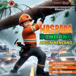 ” WASPADA ” Angin Kencang dan Pohon Tumbang