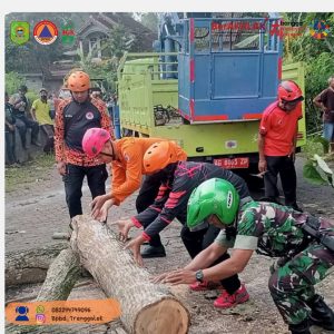 Pada hari Jumat, 7 Maret 2025, terjadi pohon tumbang di RT. 10 Kelurahan Tamanan Kecamatan Trenggalek