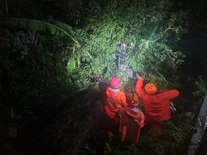 Sabtu, 15 Maret 2025 Pukul 20.00 WIB BPBD, TNI, POLRI PLN Penangganan pohon Asam tumbang tinggi 12 m di Desa Gondang Kec. Tugu