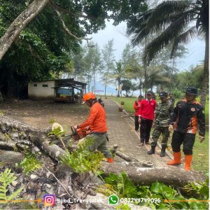 Jumat 28 Maret 2025, BPBD Kab. Trenggalek melaksanakan pemotongan dan pemangkasan pohon rawan tumbang di seputaran kawasan wisata Pantai Pelang Kec. Panggul.