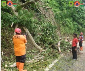 Sabtu, 29 Maret 2025. BPBD Kabupaten Trenggalek melakukan penanganan terhadap dampak bencana alam yang terjadi di Km. 17 Desa Nglinggis Kecamatan Tugu