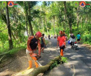 Jum’at, 4 April 2025, BPBD Trenggalek melakukan penanganan terhadap kejadian pohon tumbang di Jl. Trenggalek – Bendungan RT. 13, Desa Ngares, Kecamatan Trenggalek