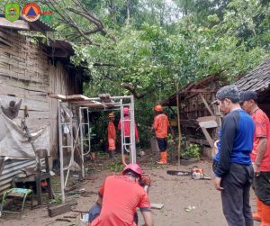 Minggu, 18 Mei 2025. BPBD Kabupaten Trenggalek melaksanakan penanganan pohon tumbang di Desa Ngares Kecamatan Trenggalek