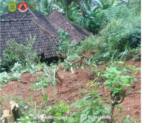 15-16 Juni 2025. Tanah longsor di Dsn. Kedungdowo Ds.Bendoagung Kec. Kampak